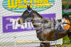 2026_Pacepix_GP31072026_Race8_Spitfire_WIN_WEB-11