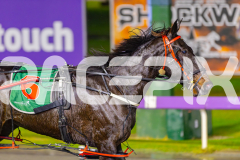 2025_PACEPIX_GP17062025_Race8_SportingGrace_WIN_WEB-14