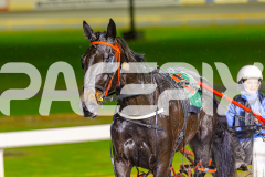 2025_PACEPIX_GP17062025_Race8_SportingGrace_WIN_WEB-17