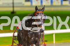 2025_PACEPIX_GP17062025_Race8_SportingGrace_WIN_WEB-18
