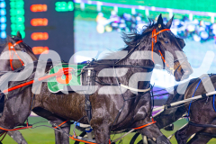 2025_PACEPIX_GP17062025_Race8_SportingGrace_WIN_WEB-5