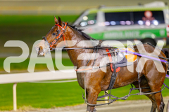 2025_PACEPIX_GP13052025_Race8_Spudmeister_WIN_WEB-18
