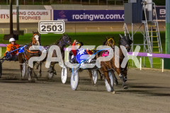Star-Of-Orion_09-06-2026_WIN_Gloucester-Park_8__03