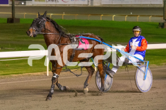 Star-Of-Orion_09-06-2026_WIN_Gloucester-Park_8__10
