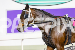 2026_PACEPIX_GP17072026_RACE8_StormySkyes_WIN_WEB-14