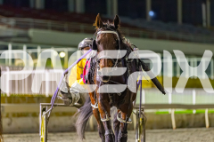2026_PACEPIX_GP17072026_RACE8_StormySkyes_WIN_WEB-19