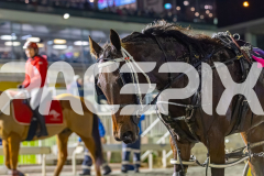 2026_PACEPIX_GP17072026_RACE8_StormySkyes_WIN_WEB-21