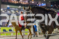 2026_PACEPIX_GP17072026_RACE8_StormySkyes_WIN_WEB-22