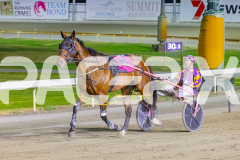 2025_PACEPIX_GP26122025_RACE8_Strauny_WIN_WEB-10