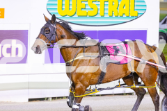2025_PACEPIX_GP26122025_RACE8_Strauny_WIN_WEB-11