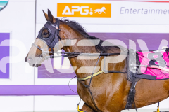 2025_PACEPIX_GP26122025_RACE8_Strauny_WIN_WEB-12