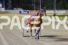 2025_PACEPIX_GP26122025_RACE8_Strauny_WIN_WEB-13