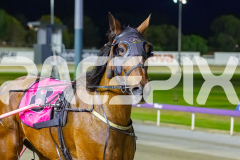 2025_PACEPIX_GP26122025_RACE8_Strauny_WIN_WEB-14