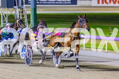 2025_PACEPIX_GP26122025_RACE8_Strauny_WIN_WEB-4