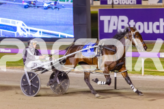 2025_PACEPIX_GP14102025_Race8_StrikingADeal_WIN_WEB-10