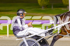 2025_PACEPIX_GP14102025_Race8_StrikingADeal_WIN_WEB-13