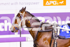 2025_PACEPIX_GP14102025_Race8_StrikingADeal_WIN_WEB-15