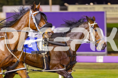 2025_PACEPIX_GP14102025_Race8_StrikingADeal_WIN_WEB-4