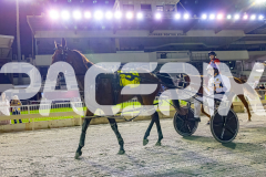 RACE 8 - Sugar Delight