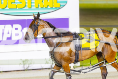 2026_Pacepix_GP30012026_RACE8_SugarDelight_WIN_WEB-11