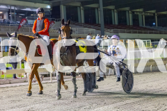 2026_Pacepix_GP30012026_RACE8_SugarDelight_WIN_WEB-12