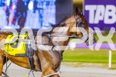 2026_Pacepix_GP30012026_RACE8_SugarDelight_WIN_WEB-9