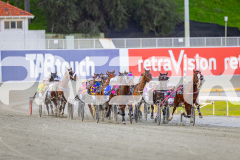 2025_PACEPIX_GP28072025_RACE8_SweetViviene_WIN_WEB-1