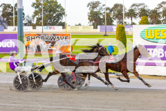 2025_PACEPIX_GP28072025_RACE8_SweetViviene_WIN_WEB-12