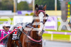 2025_PACEPIX_GP28072025_RACE8_SweetViviene_WIN_WEB-19