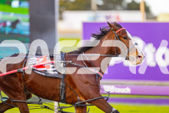 2025_PACEPIX_GP28072025_RACE8_SweetViviene_WIN_WEB-5