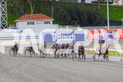 2025_PACEPIX_GP28072025_RACE8_SweetViviene_WIN_WEB-6