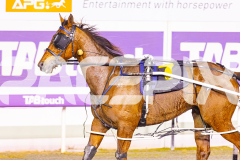2025_PACEPIX_GP19092025_Race8_TakeAHike_WIN_WEB-13