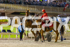 2025_PACEPIX_GP19092025_Race8_TakeAHike_WIN_WEB-14