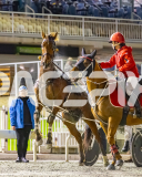 2025_PACEPIX_GP19092025_Race8_TakeAHike_WIN_WEB-15