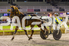 2025_PACEPIX_GP19092025_Race8_TakeAHike_WIN_WEB-18