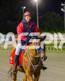 2025_PACEPIX_GP09092025_Race8_TheUltimateBeach_WIN_WEB-9