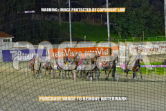 2026_PACEPIX_GP25082026_RACE8_TheWandWaver_WIN_WEB-1