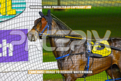 2026_PACEPIX_GP25082026_RACE8_TheWandWaver_WIN_WEB-15