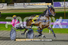 2026_PACEPIX_GP25082026_RACE8_TheWandWaver_WIN_WEB-2