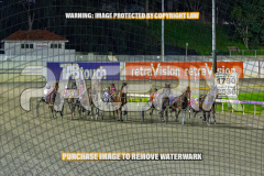 2026_PACEPIX_GP25082026_RACE8_TheWandWaver_WIN_WEB-5