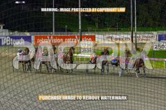 2026_PACEPIX_GP25082026_RACE8_TheWandWaver_WIN_WEB-6