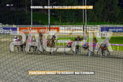 2026_PACEPIX_GP25082026_RACE8_TheWandWaver_WIN_WEB-7
