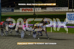 2026_PACEPIX_GP25082026_RACE8_TheWandWaver_WIN_WEB-8