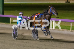The-Wand-Waver_13-03-2026_WIN_Gloucester-Park_8__02