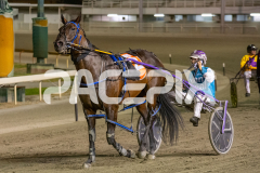 The-Wand-Waver_13-03-2026_WIN_Gloucester-Park_8__08