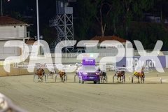 2025_PACEPIX_GP22042025_Race8_TobyGeorge_WIN_WEB-1