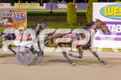 2025_PACEPIX_GP22042025_Race8_TobyGeorge_WIN_WEB-15