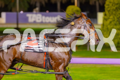 2025_PACEPIX_GP22042025_Race8_TobyGeorge_WIN_WEB-19