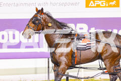 2025_PACEPIX_GP22042025_Race8_TobyGeorge_WIN_WEB-22
