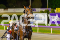 2025_PACEPIX_GP22042025_Race8_TobyGeorge_WIN_WEB-24